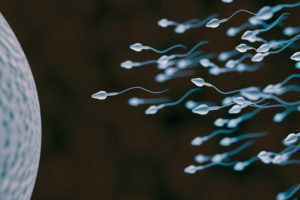 Does Erectile Dysfunction Effect Sperm Count? - Mens Pharmacy Blog